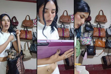 carteras🎀