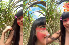 mavis_indiazinha