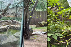 zoo