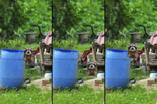 Untitled stream