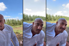 احمد البحيري