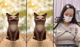 🐱