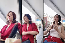 🍀🌹🐯양이 이사도라🌹🍀
