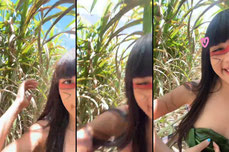 mavis_indiazinha