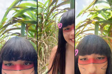 mavis_indiazinha