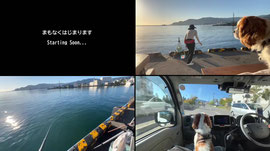 【Fishing】A Relaxing Sabiki Day in Otaru 🎣 What Will We Catch?