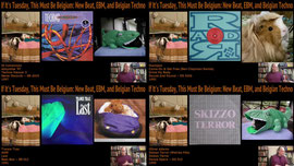 If It's Tuesday, This Must Be Belgium: New Beat, EBM, and Belgian Techno