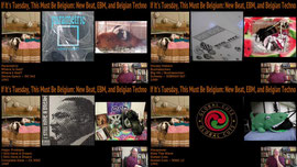If It's Tuesday, This Must Be Belgium: New Beat, EBM, and Belgian Techno