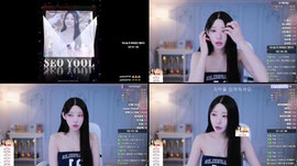 하잉