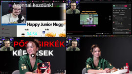 🐋 Celebek a Dzsungelben Keresnek Pénzt | VIdeók | Zene  🐋
