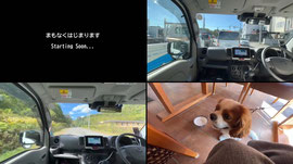 【Dog Walk & Drive】A Relaxing Autumn Day with PomPom 🍂🐶