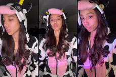 🐮