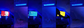 sleep stream 2 cams