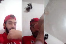 خفافيشوو🦇😈