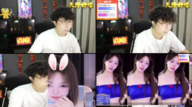 【羽】蓝莓 狮皇 念念不忘 钊哥 林木哥