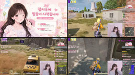 롤생아에게.. 증칼 미션 있나요