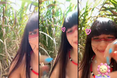 mavis_indiazinha