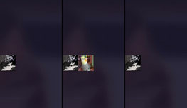 Click for fun!