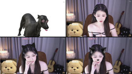 Recording Thumbnail