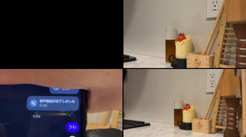 Recording Thumbnail