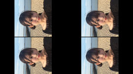 Recording Thumbnail