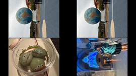 Recording Thumbnail