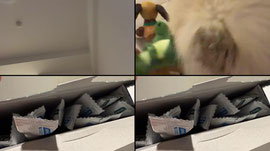 Recording Thumbnail