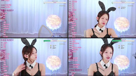13일차)바니걸 사나 잡아가랏 ㅎㅎ