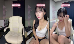 수하리s 신입 방 14일차 돌핀어때?🩷