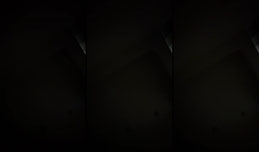 双子座不许进