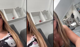 Click for fun!