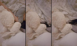 서아fromseoas SOOPStream.