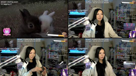 END OF SUBTEMBER ♡ OPENING RIFTBOUND EVERY 5 SUBS + bonus subs every 5 GIFTED !plus !dono !discord