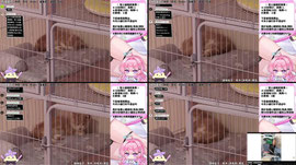 🌸0930 9月最後一天迎來新生命✨｜!拍立得｜!寫真