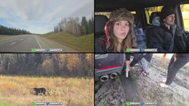 Driving to Alaska | 7-day Survival in Alaska soon