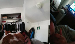 Click for fun!
