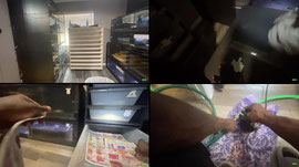 POV:🔥 FEEDING LARGE SNAKES 🐍 | CLEANING LARGE 💩🤢 | YOU KNOW IT’S A MESS! 😂 | TAP IN! 👀 | Golden’s Konstrictors LIVE