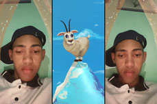 bienvenidos puro show