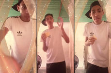 bienvenidos puro show
