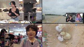 ENG/ESP [Austin] State Fair of Texas w/ @HAchubby