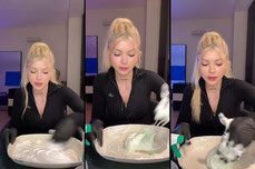 Ayşegül