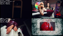 SPIN THE WHEEL FOR 100 KICKS! HAPPY LOCKTOBER EVERYONE!!