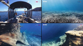 WRECK DIVING!!! - Sailing Greece - The Race to Kalamata 75/120NM - !Seavu !Tallulah !ludovica