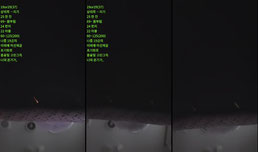 ..나안 ; 묵언 묵묵 미달