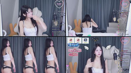 6일차 팬더1티어귀염섹시