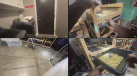 🔥 POV: RAT DAY IS BACK! 🐀📦 Finally Getting Rat Orders In! | DOUBLE STREAM DAY | TAP IN! 👀 | Golden’s Konstrictors Live