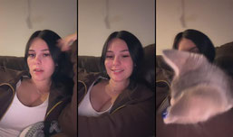 Click for fun!