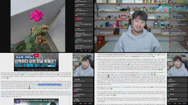 요즘 유명상어 부캉이 알아보기