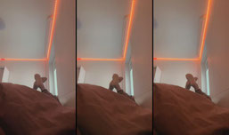 Click for fun!