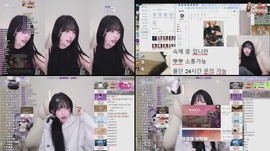 [771:비서]룰렛 도파민좀 주세요 시그단 16명 노방종 (12/16